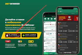 betwinner আপনার বাজির জন্য সেরা প্ল্যাটফর্ম